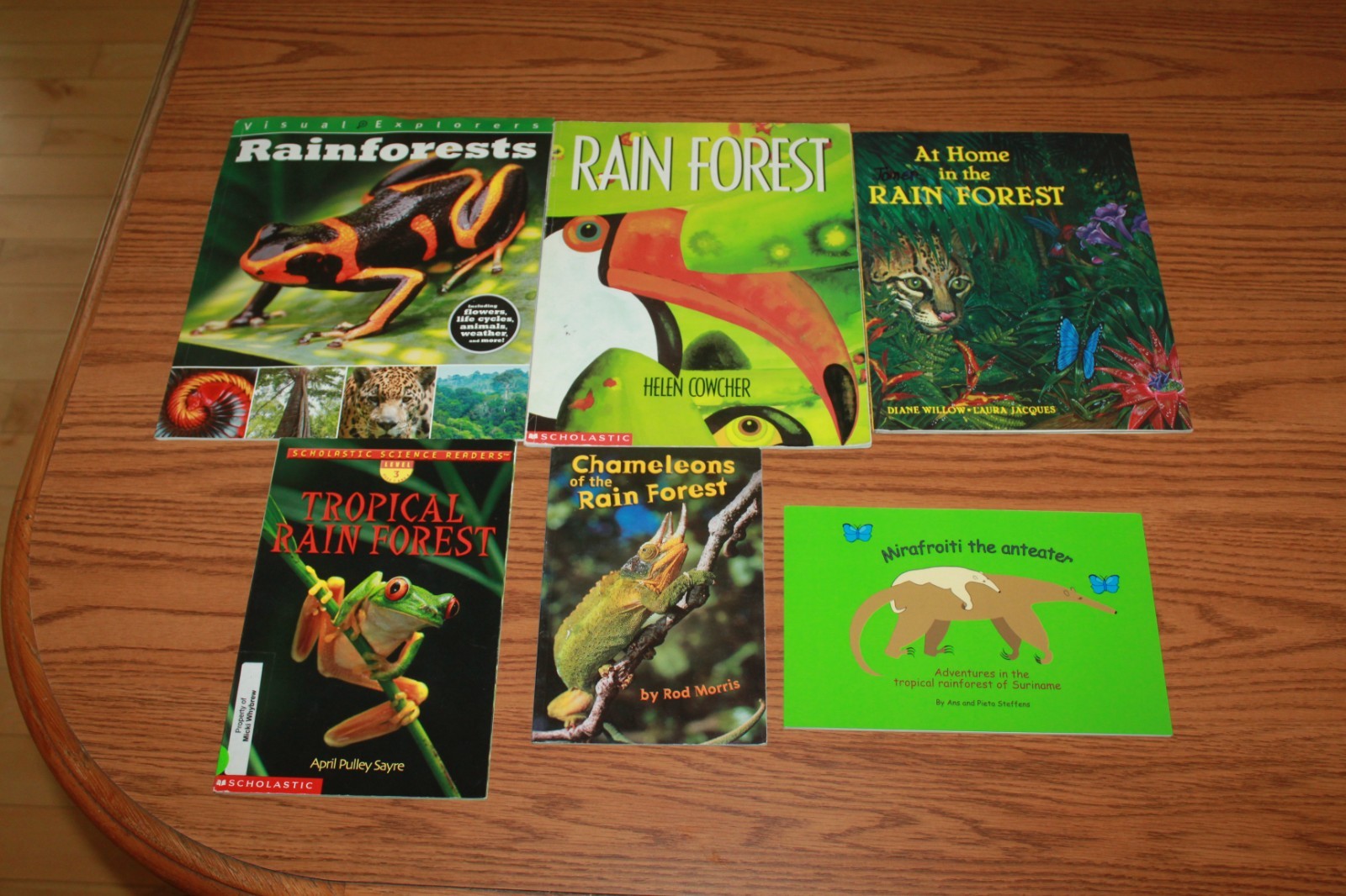 6 Rain Forest NF Picture Books Readers Lot Tropical