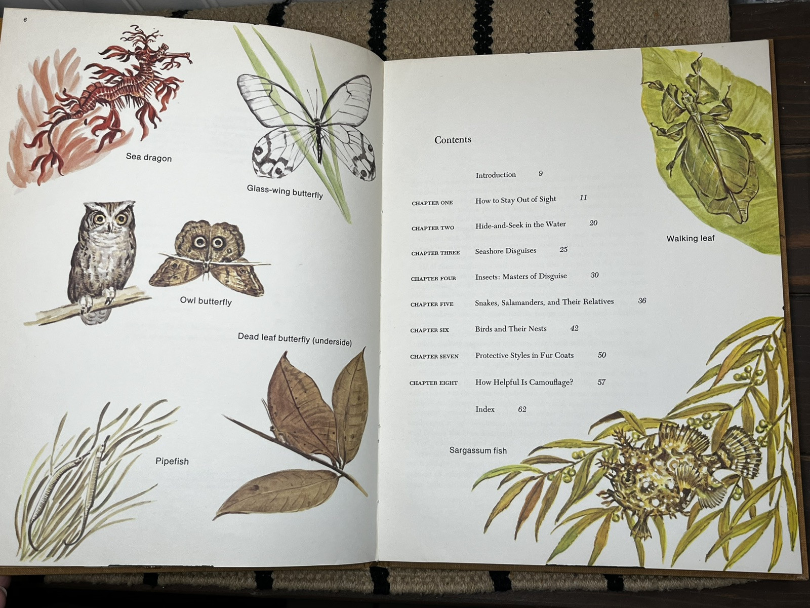 Animal Camouflage, Dorothy Shuttlesworth, illustrated by Matthew Kalmenoff HB XL