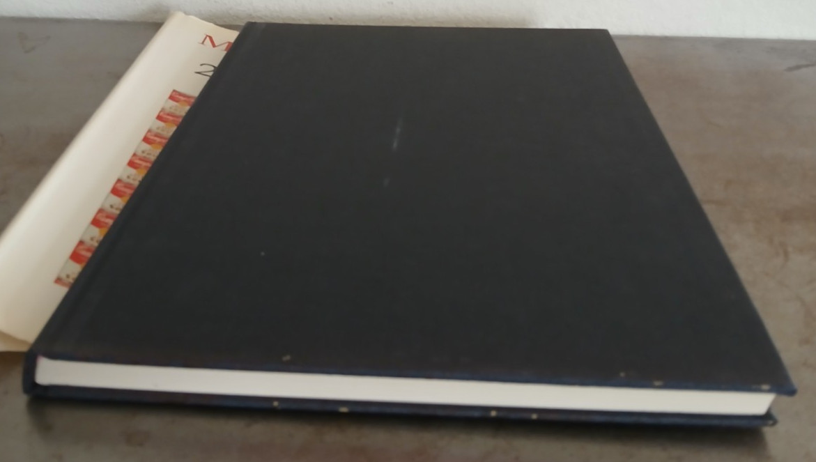 Masterpiece Of 20th Century Painting By Doreen Ehrlich Hardcover 191 Pages