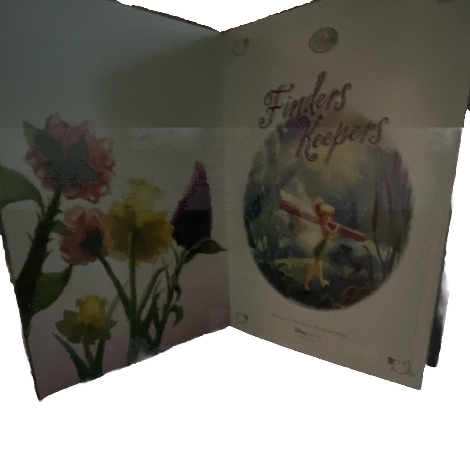 Disney Press Disney Fairies Finders Keepers Hardcover Picture Book Ages 4-8
