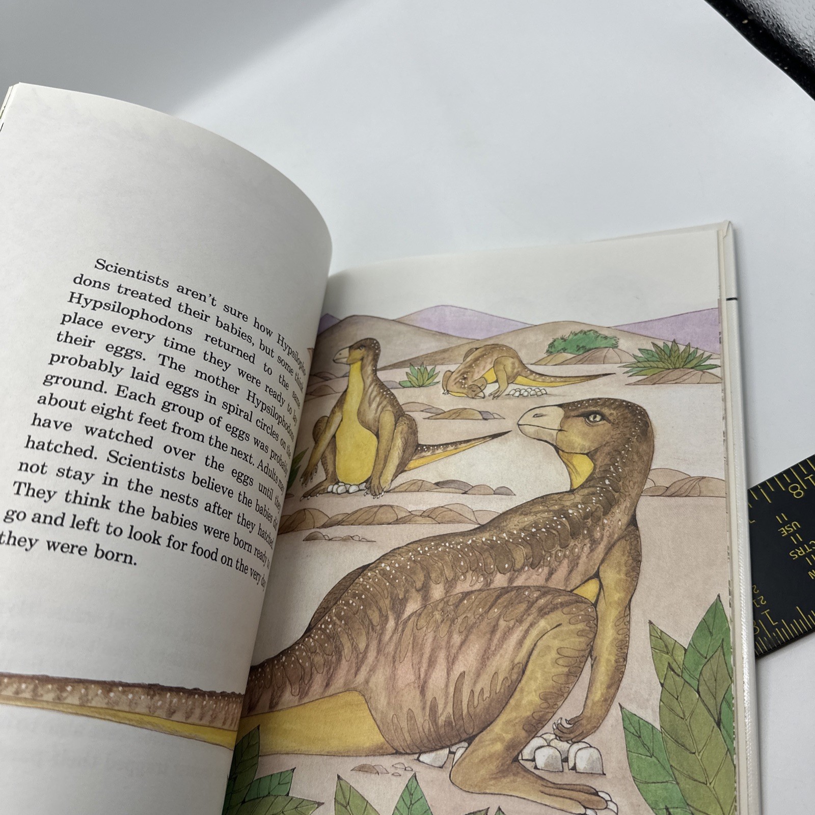 Dinosaur Hardcover Books 1991 Janet Riehecky The Child’s World Series 18 Books
