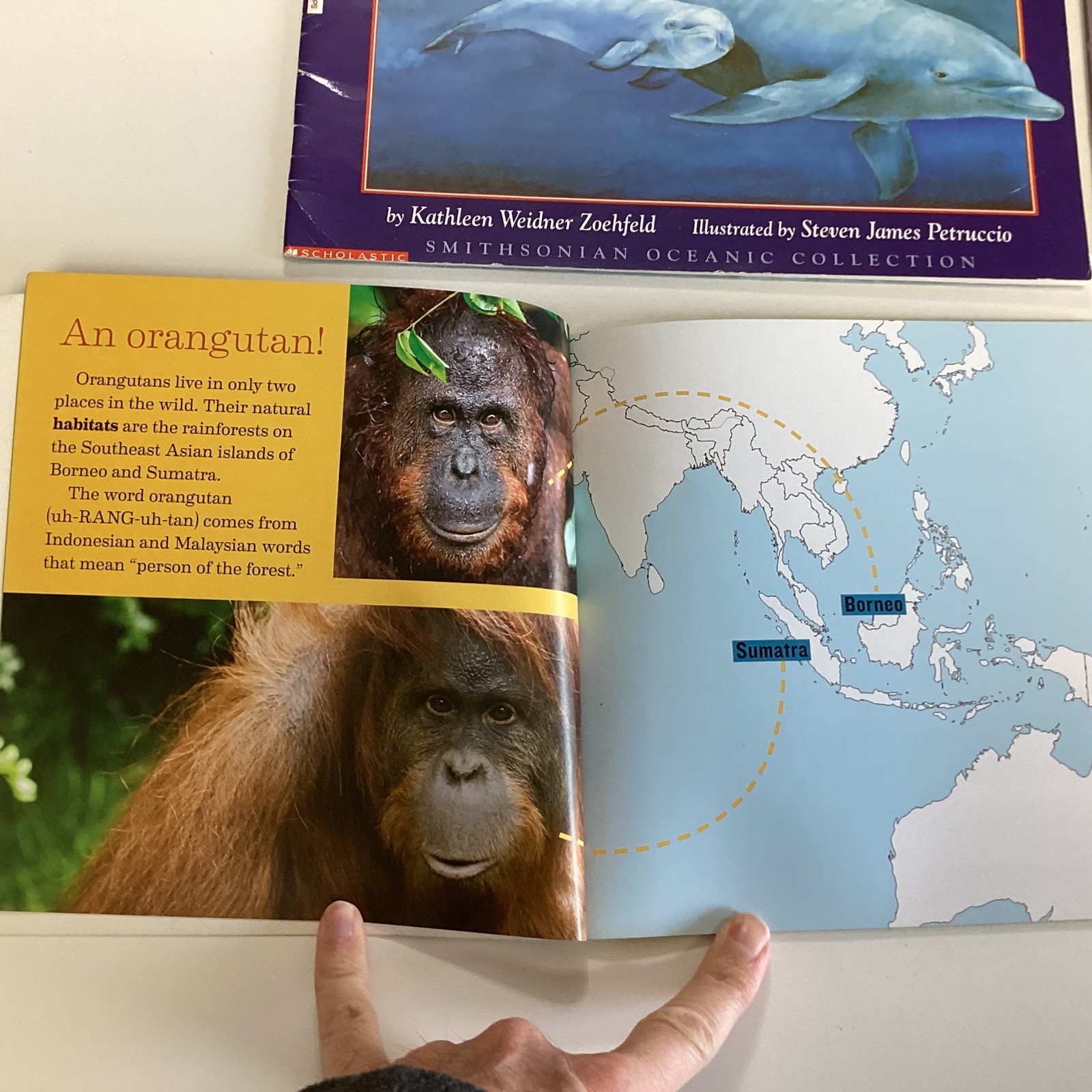 Smithsonian Institution Oceanic Collection Curious Riley 9 Home School Book Lot