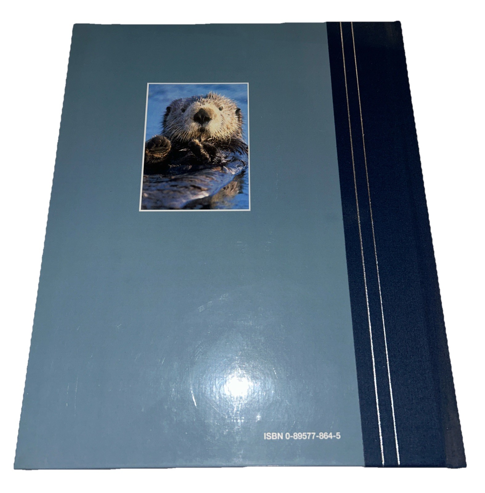 Explore America Ser.: America by the Sea by Reader’s Digest Editors (1996,…