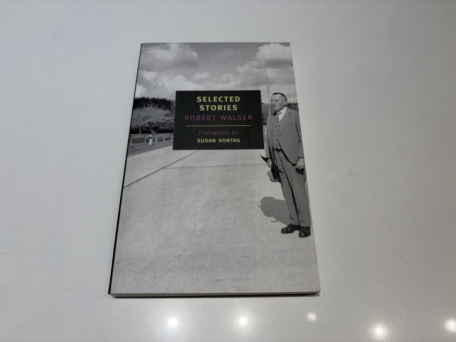 Lot of 10 New York Review Books NYRB – Various Titles