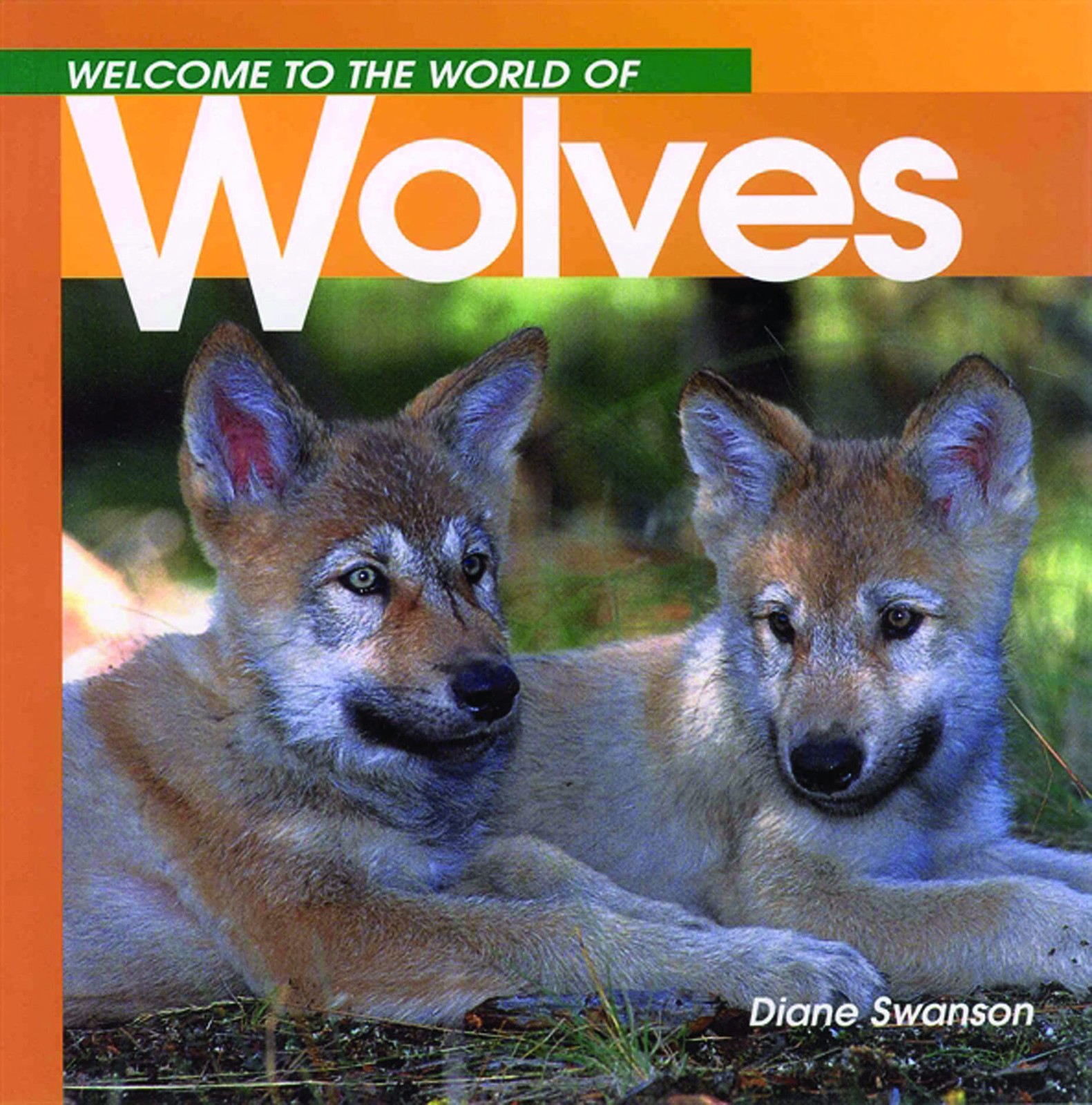 Welcome to the World of Wolves (Welcome to the World Series) – paperback Swa…