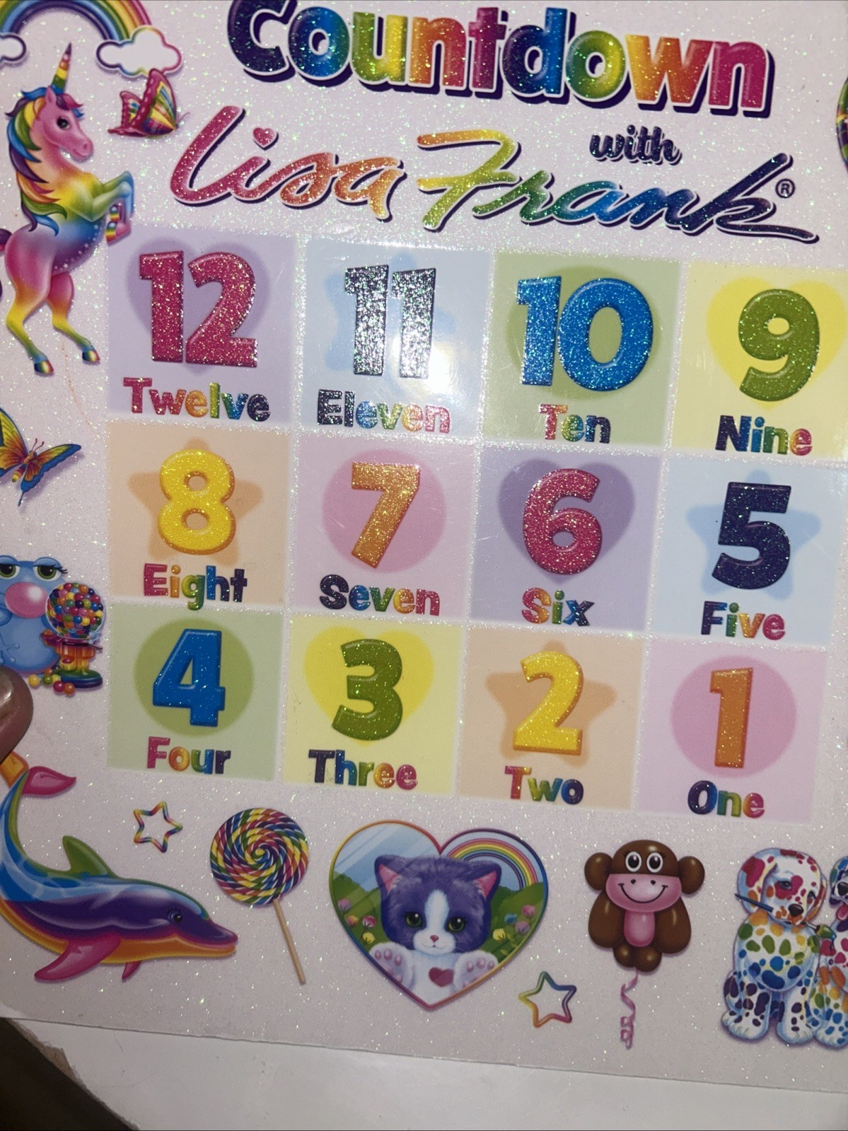 Countdown With Lisa Frank~Picture Book~Number Countdown~2022
