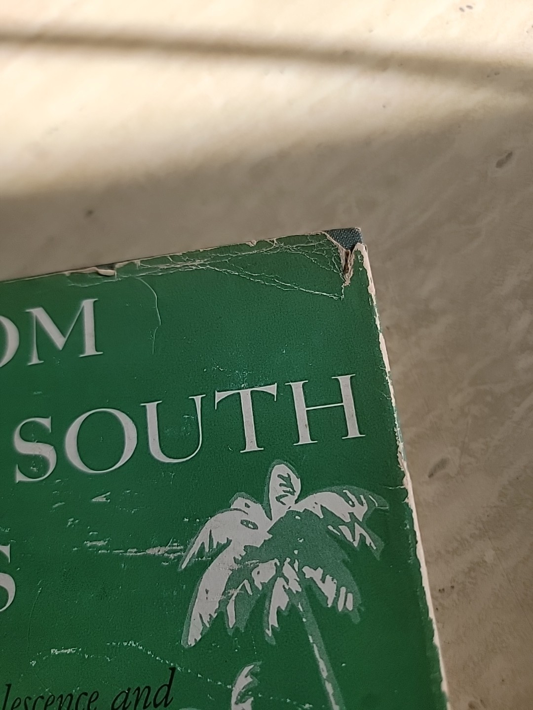 1939 Margaret Mead FROM THE SOUTH SEAS William Morrow & Company HCDJ