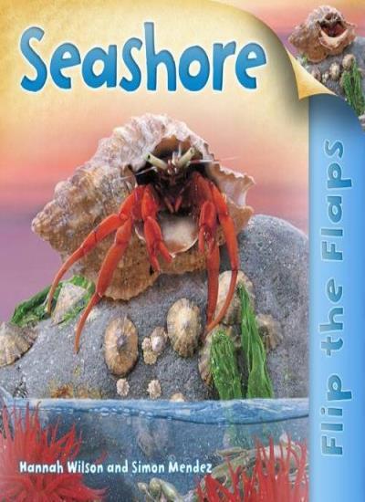 Flip the Flaps: Seashore By Hannah Wilson, Simon Mendez. 9780753