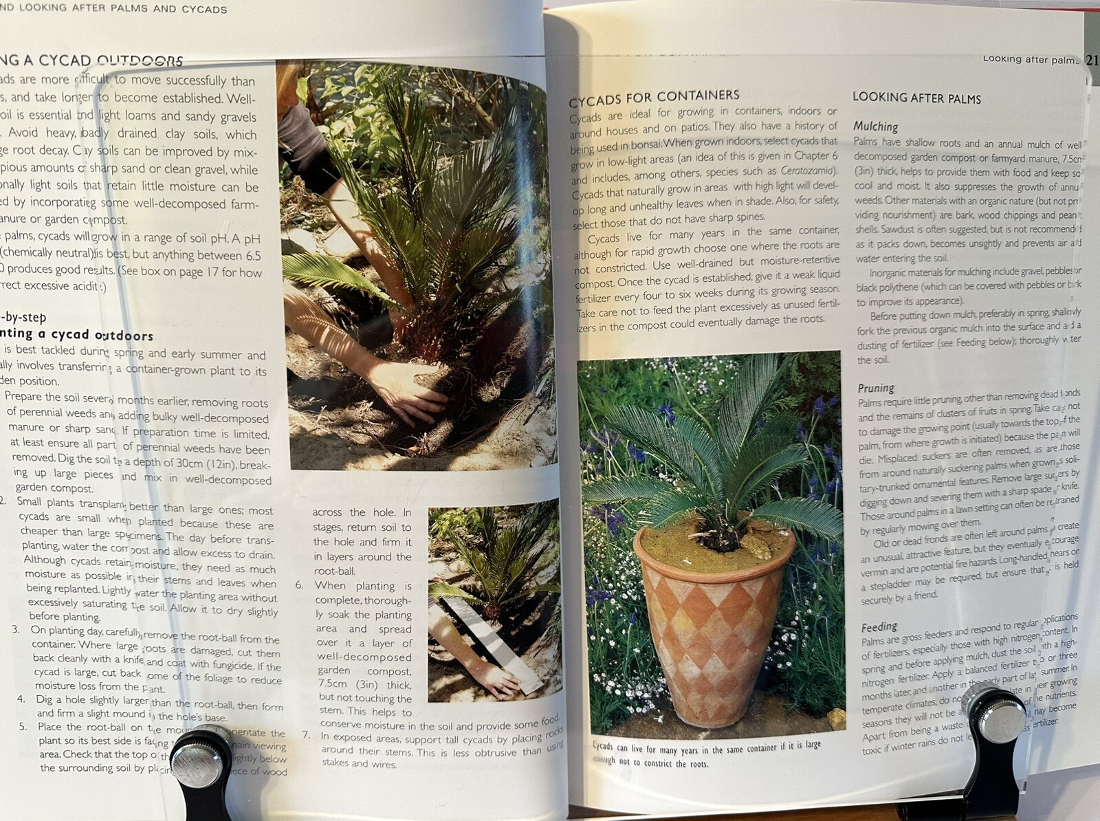 Palms And Cycads: A Guide To Selecting, Growing & Propagating David Squire New