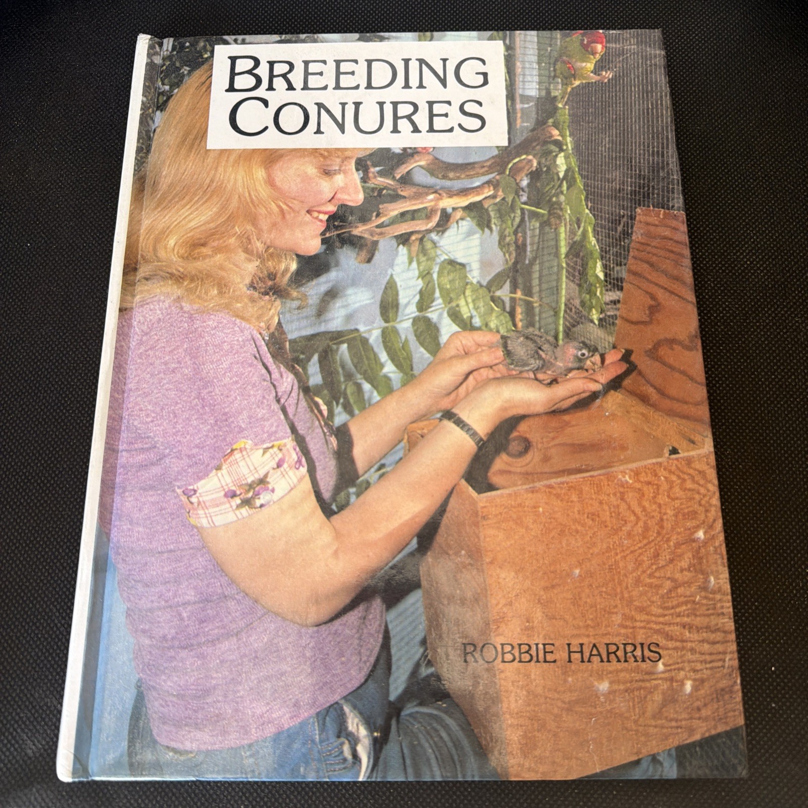 Breeding Conures – VERY GOOD