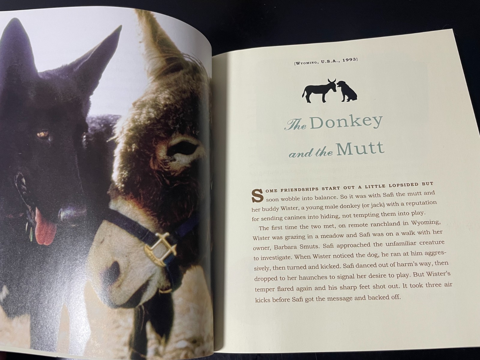 UNLIKELY FRIENDSHIPS BY JENNIFER S. HOLLAND 47 STORIES FROM THE ANIMAL KINGDOM