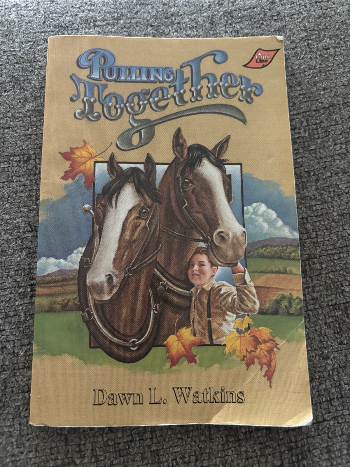 Booklinks by Dawn L. Watkins (1992, Trade Paperback)