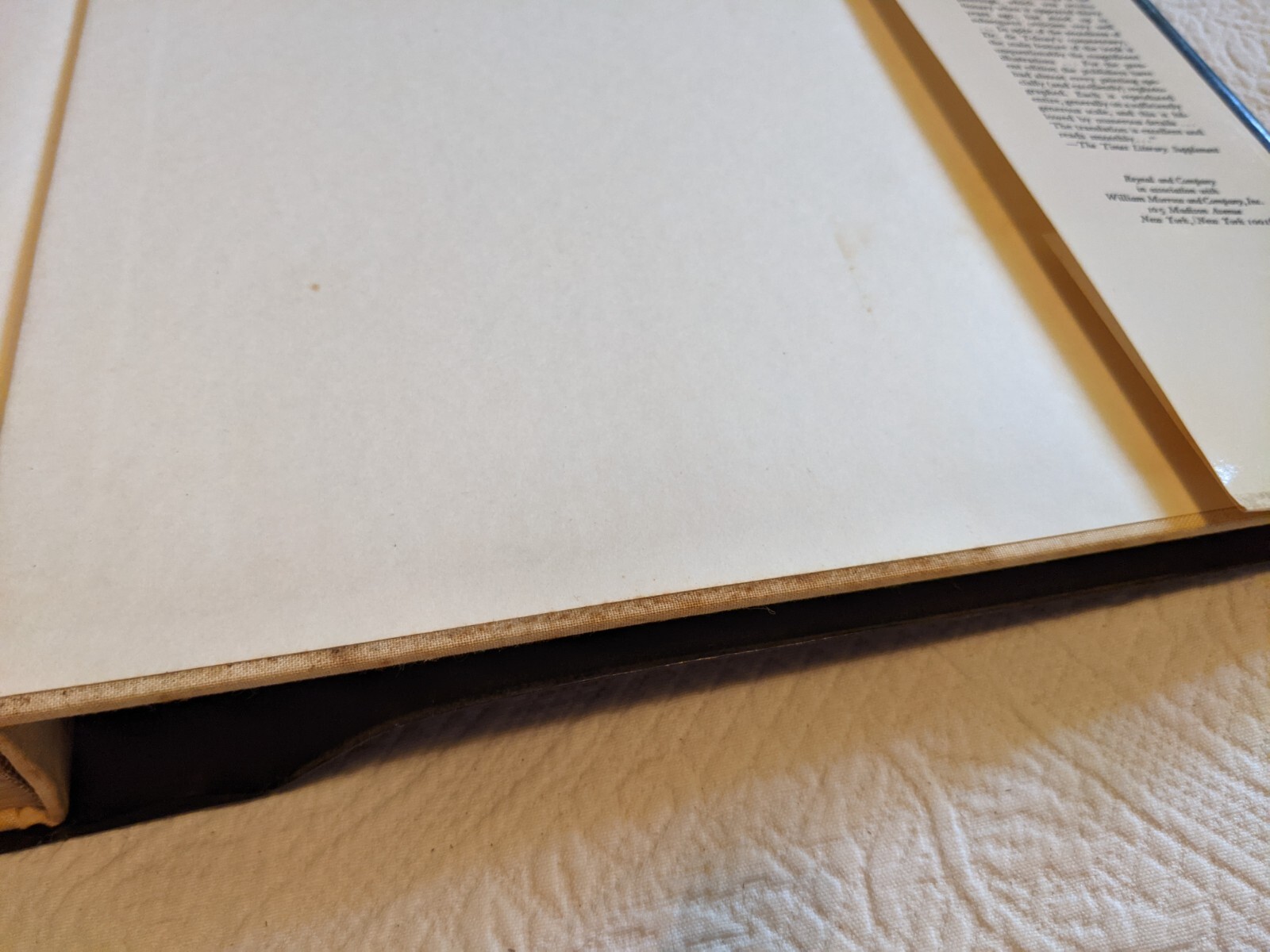 Hieronymus Bosch Charles De Tolnay Reynal Japan 48 Color 364 Black & White 1966