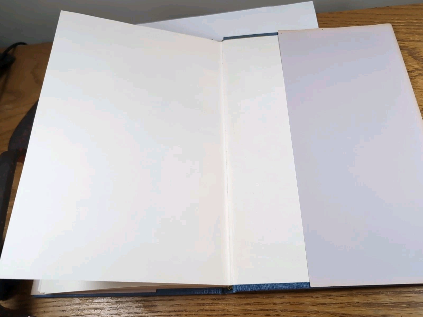 Ozark Diary By Minnie J. Sellens 1984, Privately Printed. Unique Book