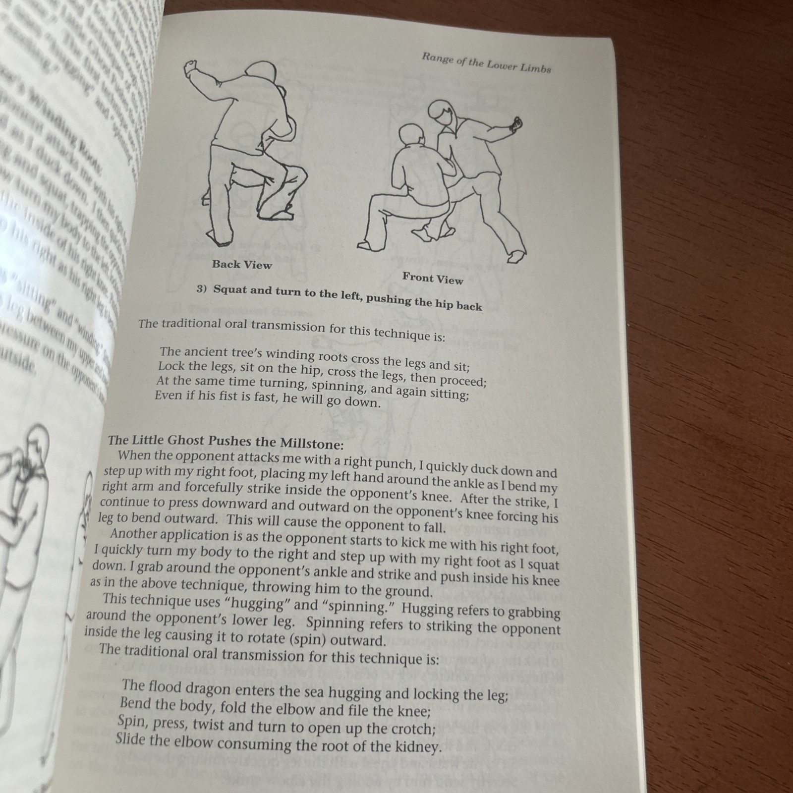Practical Chin Na: A Detailed Analysis of the Art of Seizing and Locking LK NEW