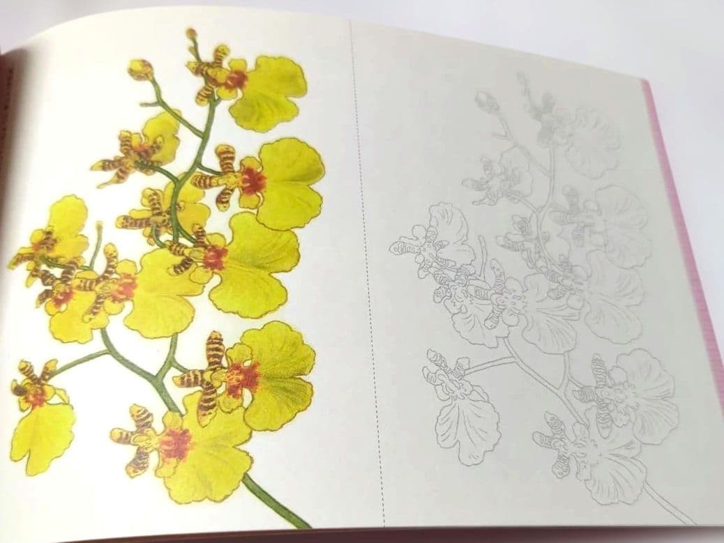 Coloring Book Flowers Postcards 5.5×3.6in Floral Designs