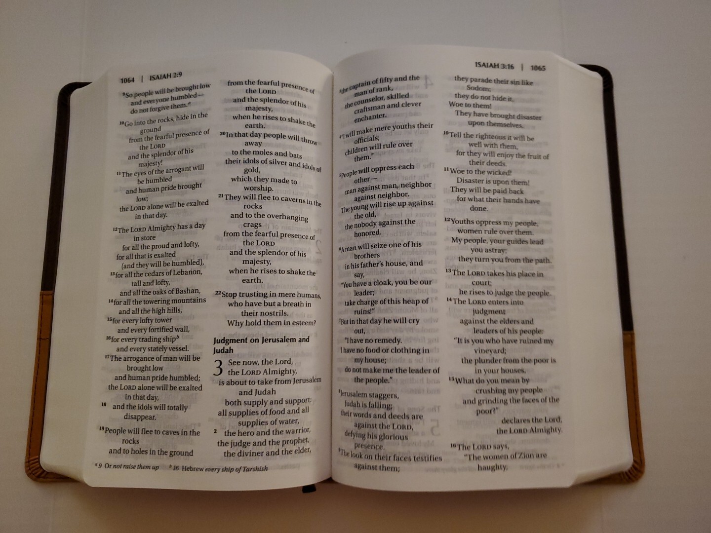 ZONDERVAN NIV HOLY BIBLE LARGE PRINT BIBLE LEATHERSOFT COVER