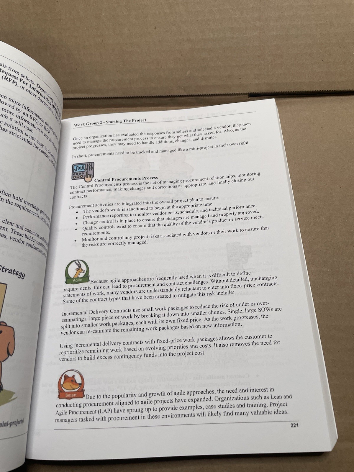 PM Illustrated: A Visual Learner’s Guide to Project Management: (