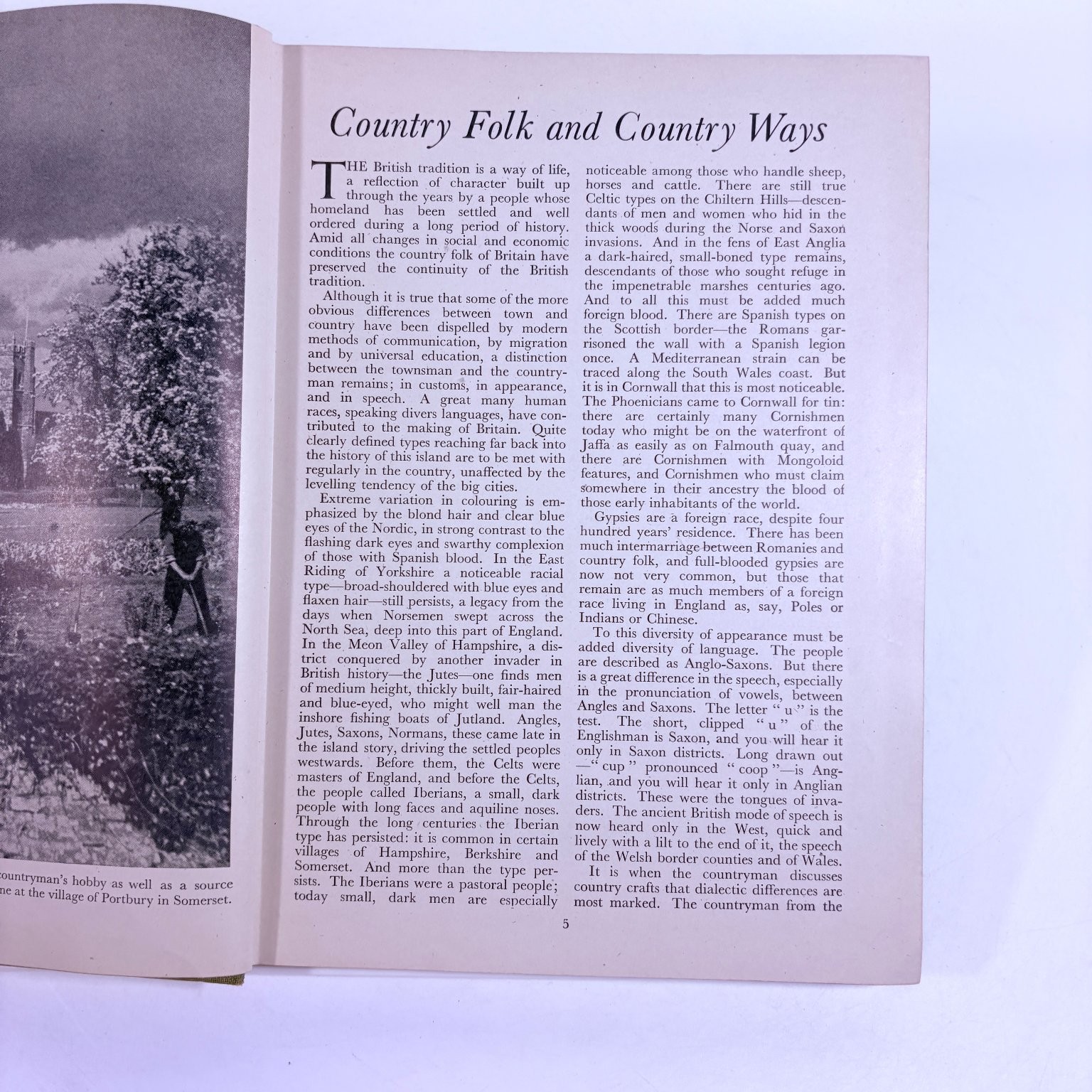 The British Countryside in Pictures Odhams 1953 Illustrated Photography