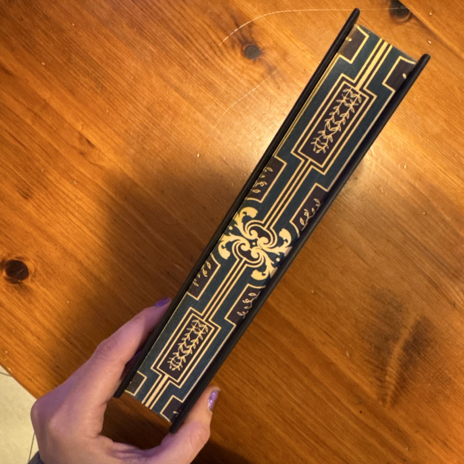 Forbidden Wing SPECIAL EDITION The Gifted by Katie Galvin Hardcover