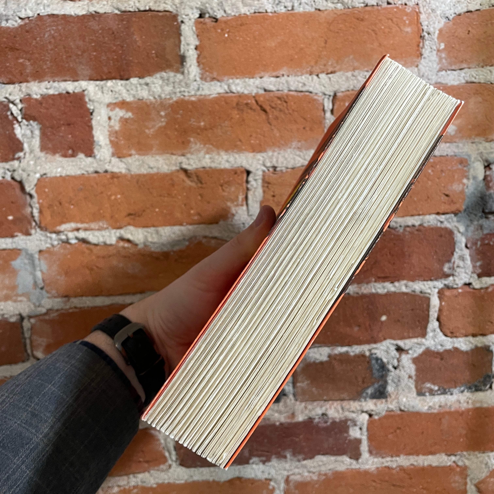 The Poisonwood Bible – Barbara Kingsolver 2005 Harper Perennial Trade Paperback