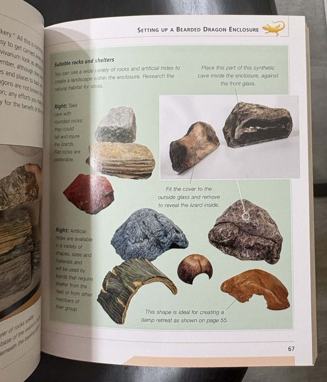 Barron’s Mini Encyclopedia Bearded Dragons Chris Mattison Paperback 2011 Illus