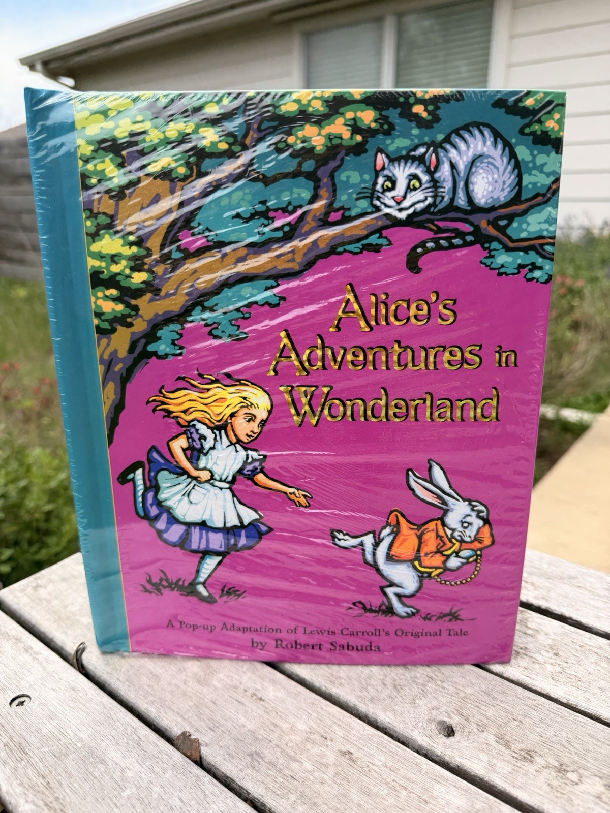 Alice’s Adventures in Wonderland Robert Sabuda Pop Up Book New Sealed 2003