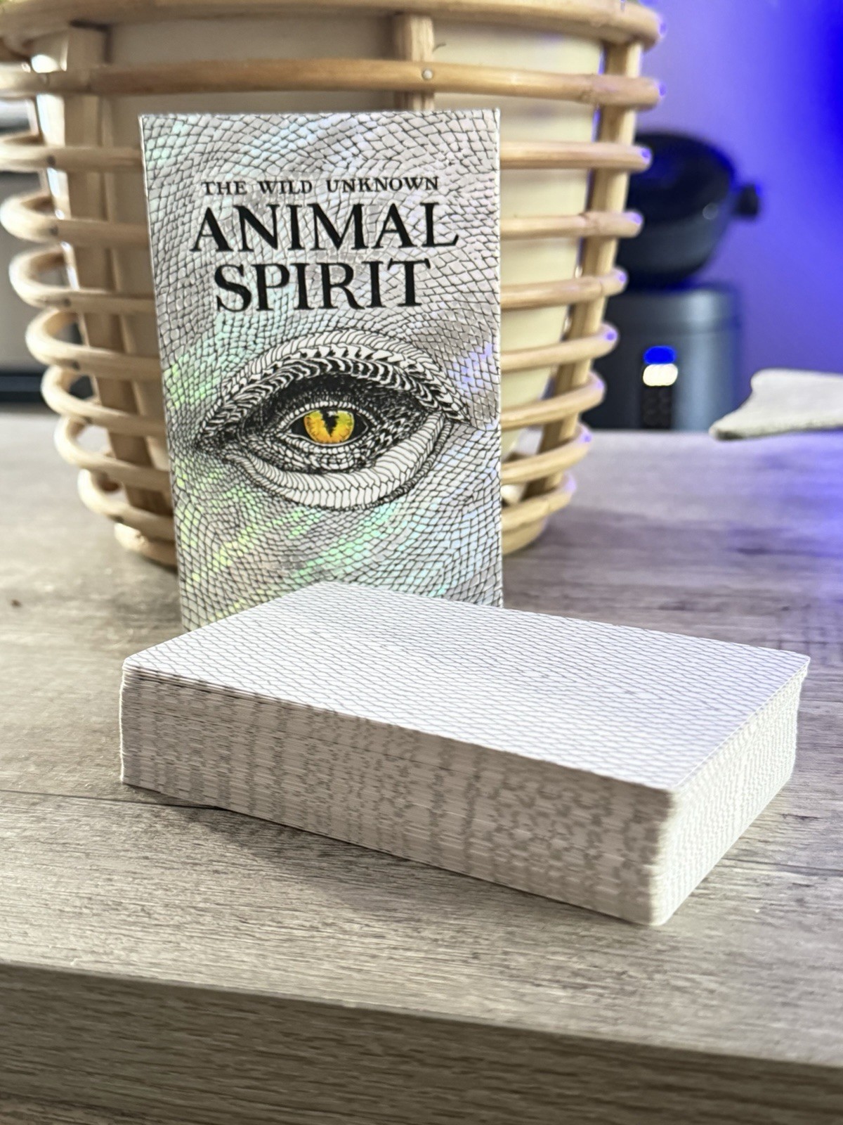 The Wild Unknown Animal Spirit Deck (official Keepsake Box Set By Kim Krans)