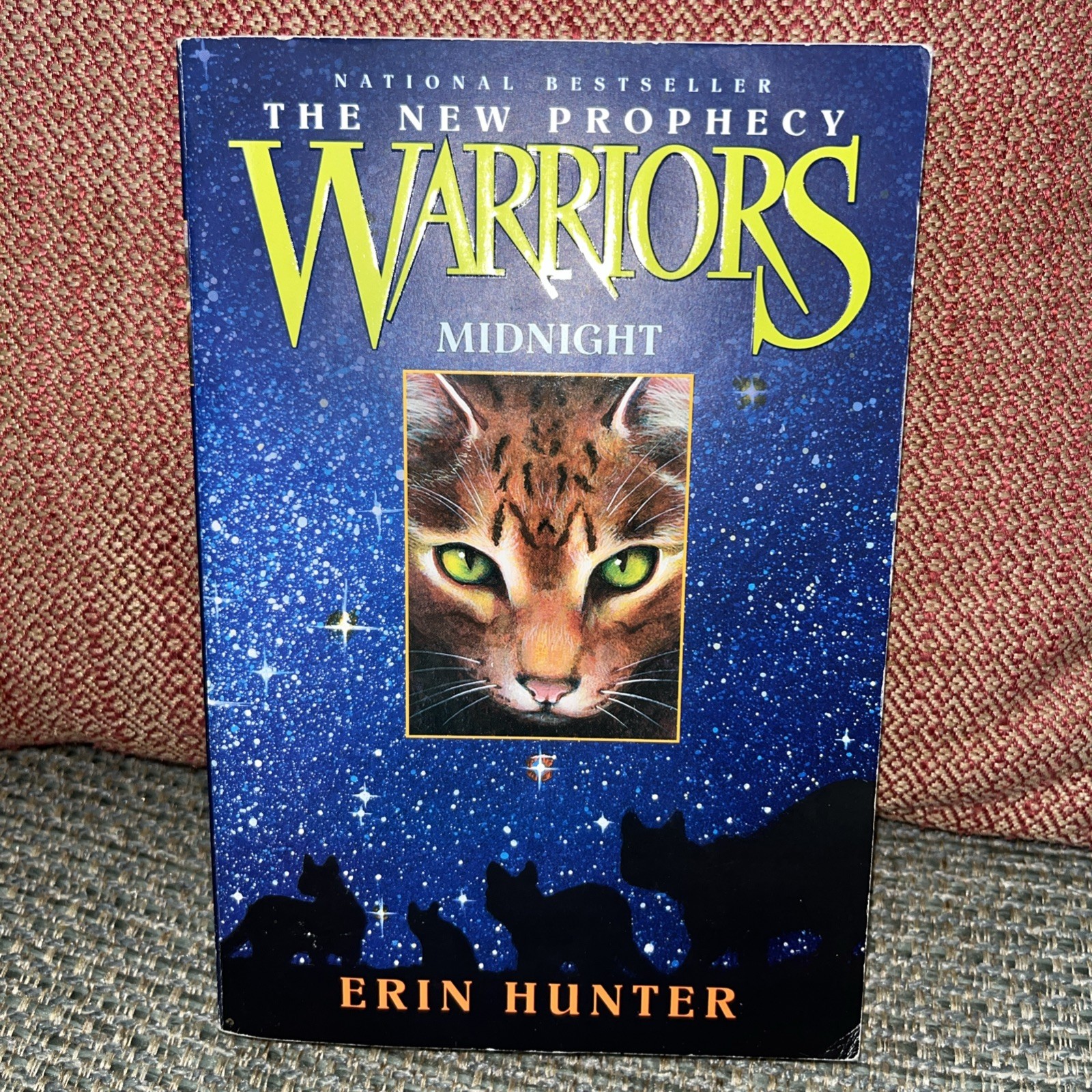 The New Prophecy Warriors Erin Hunter Paperback Volumes 1-4, 6 Lot, Set, 2006