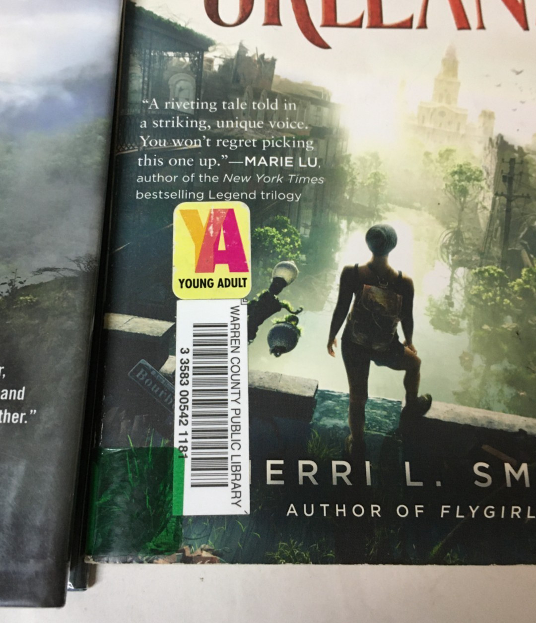 Lot of 10 Young Adult Books / Book #1’s & More – GENRE: Fantasy DYSTOPIAN Sci-Fi