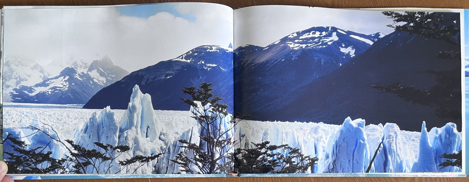 Patagonia Southern Argentina – Panoramic Photography Journey – Natural History