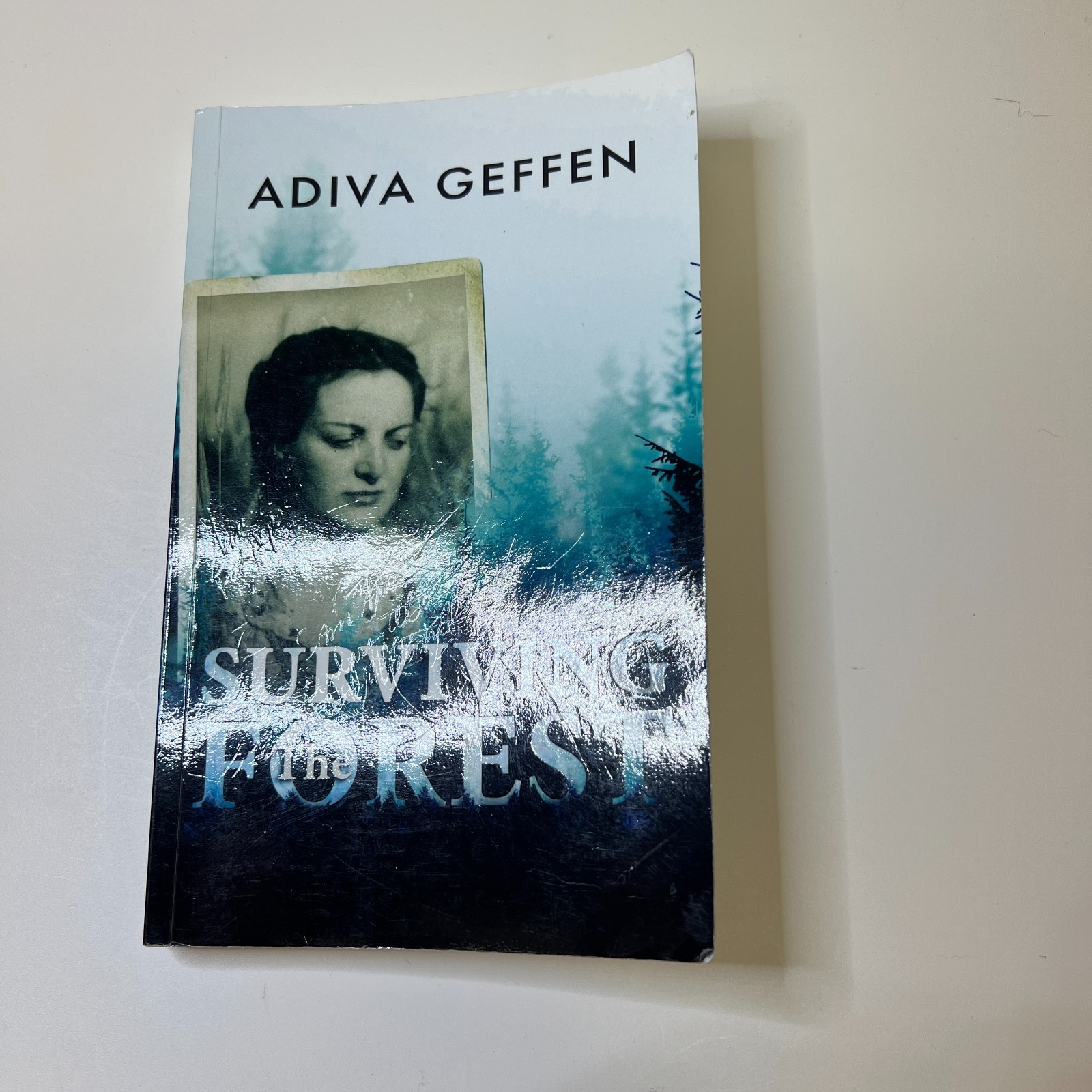 Surviving The Forest (A WW2 Historical Novel) by Adiva Geffen