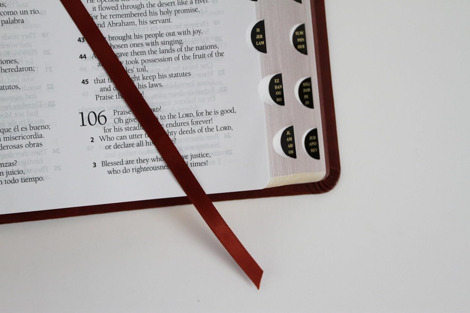 Biblia Bilingüe Reina Valera 1960 (ESV) Bilingual Bible/Print Brown index