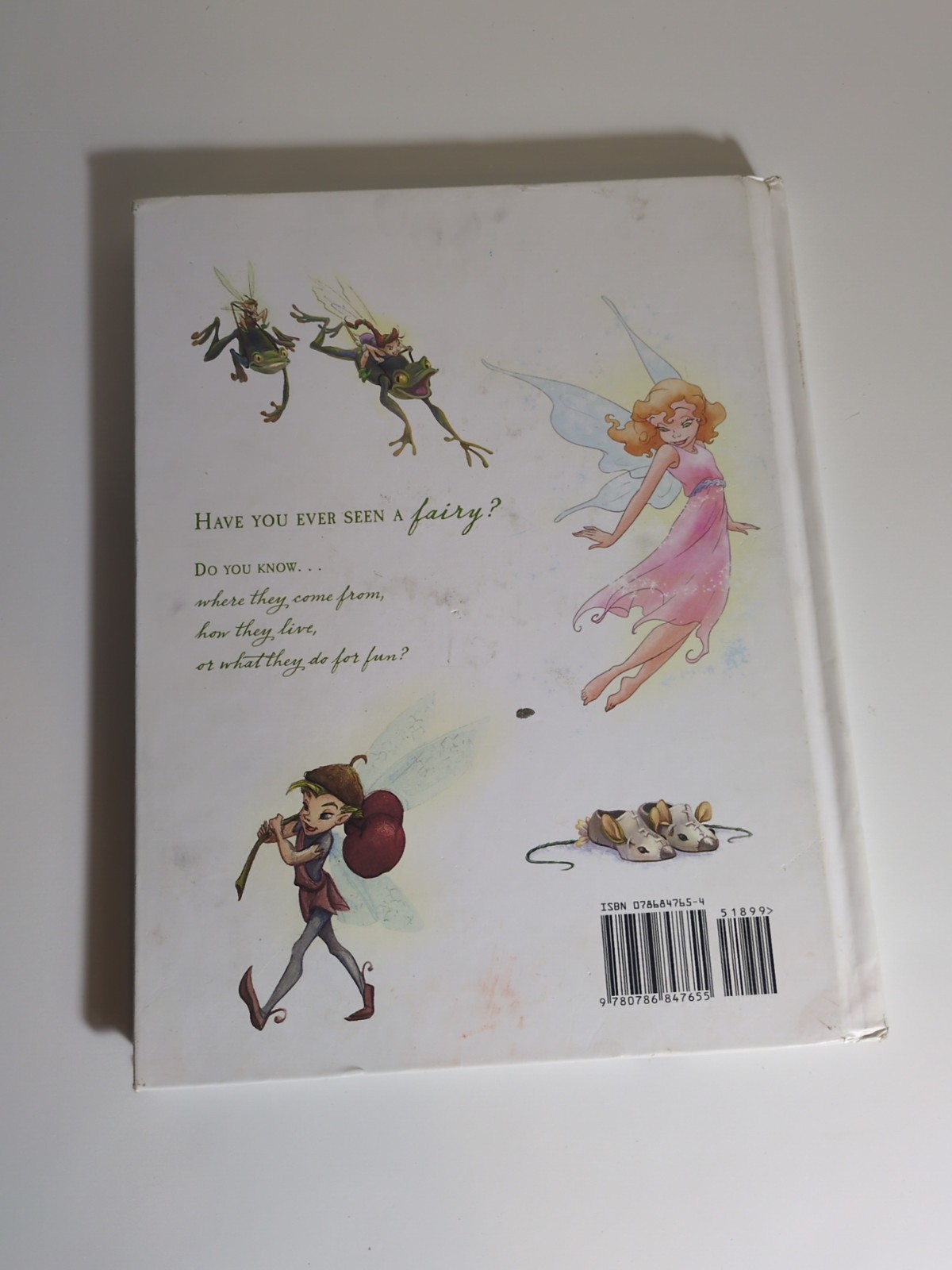Realm of the Never Fairies The Secret World of Pixie Hollow
