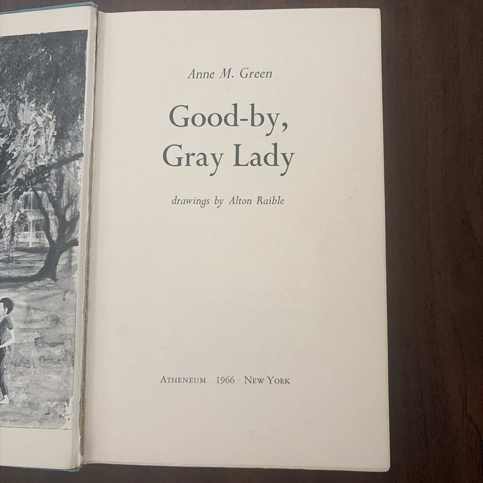 Good-by, Gray Lady~Anne M. Red~Hardcover~1966 DJ/HC Ex-Library