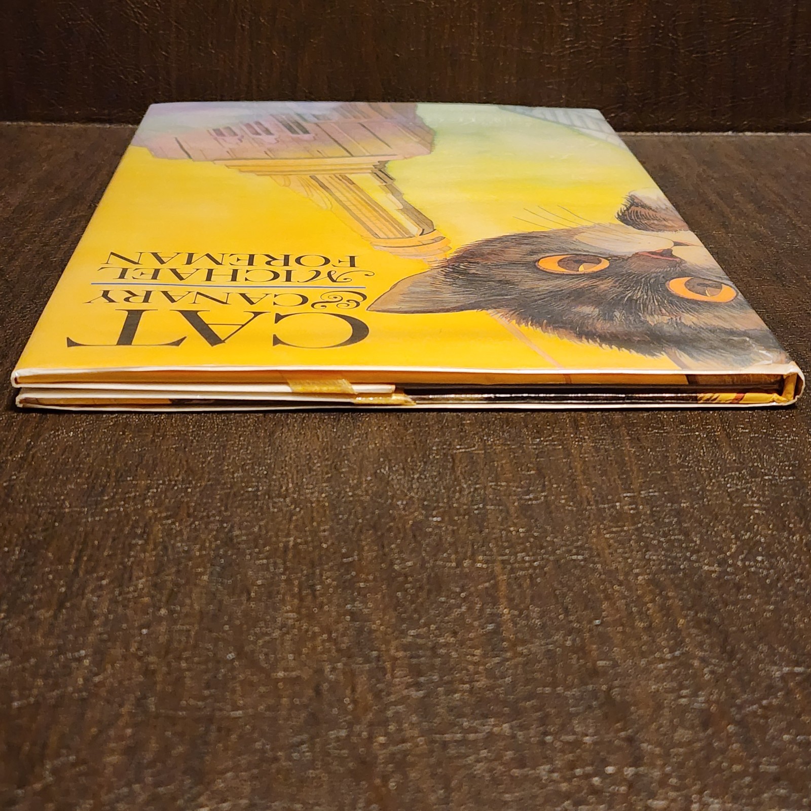 1st Edition Print – Cat and Canary Hardcover Michael Foreman Hardcover DJ GREAT