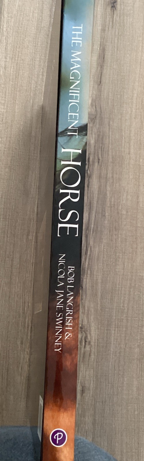 Magnificent Horse Large Book (Hardcover)