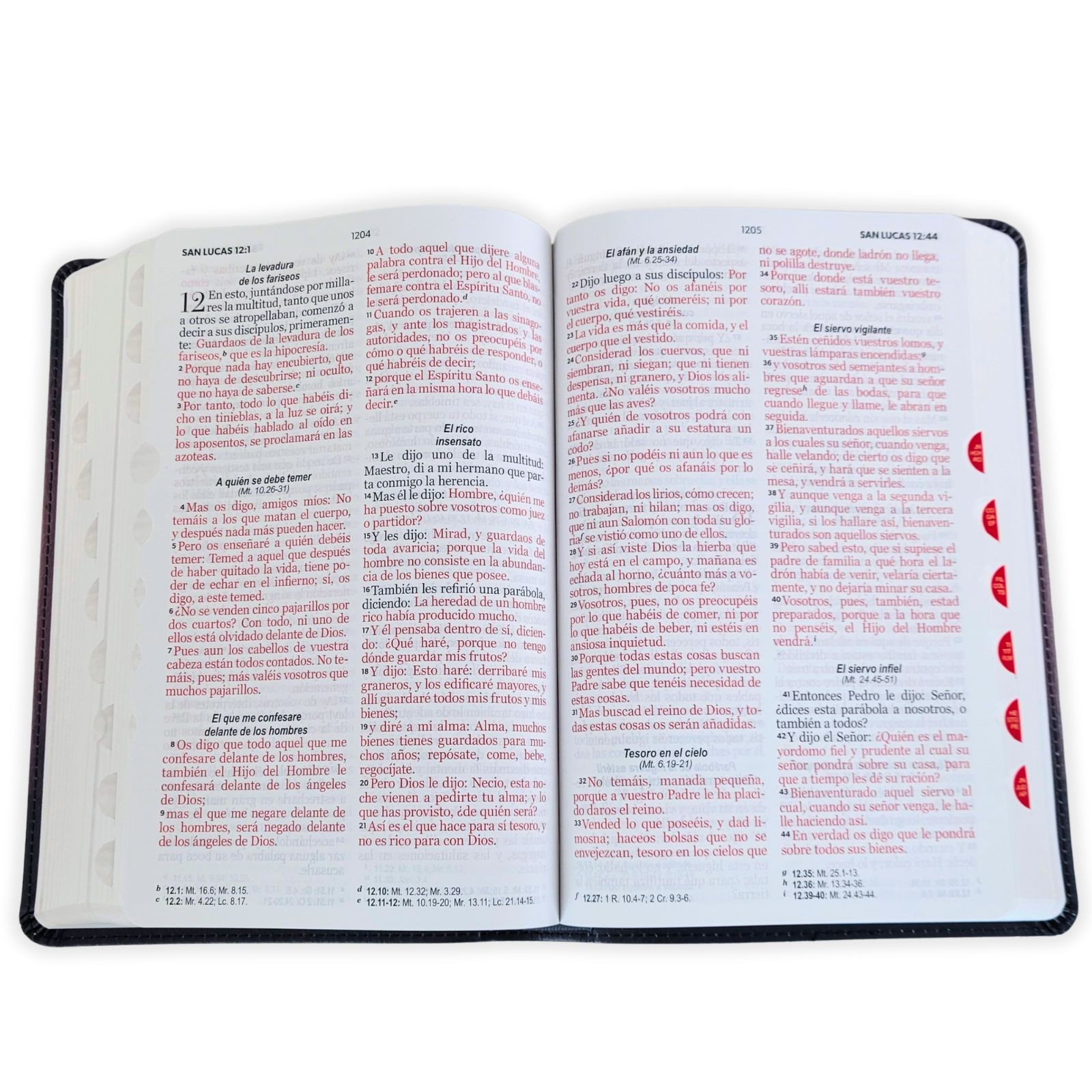 Biblia Letra Grande 12 puntos RV19 armadura de Dios con indice – Efesios 6:11