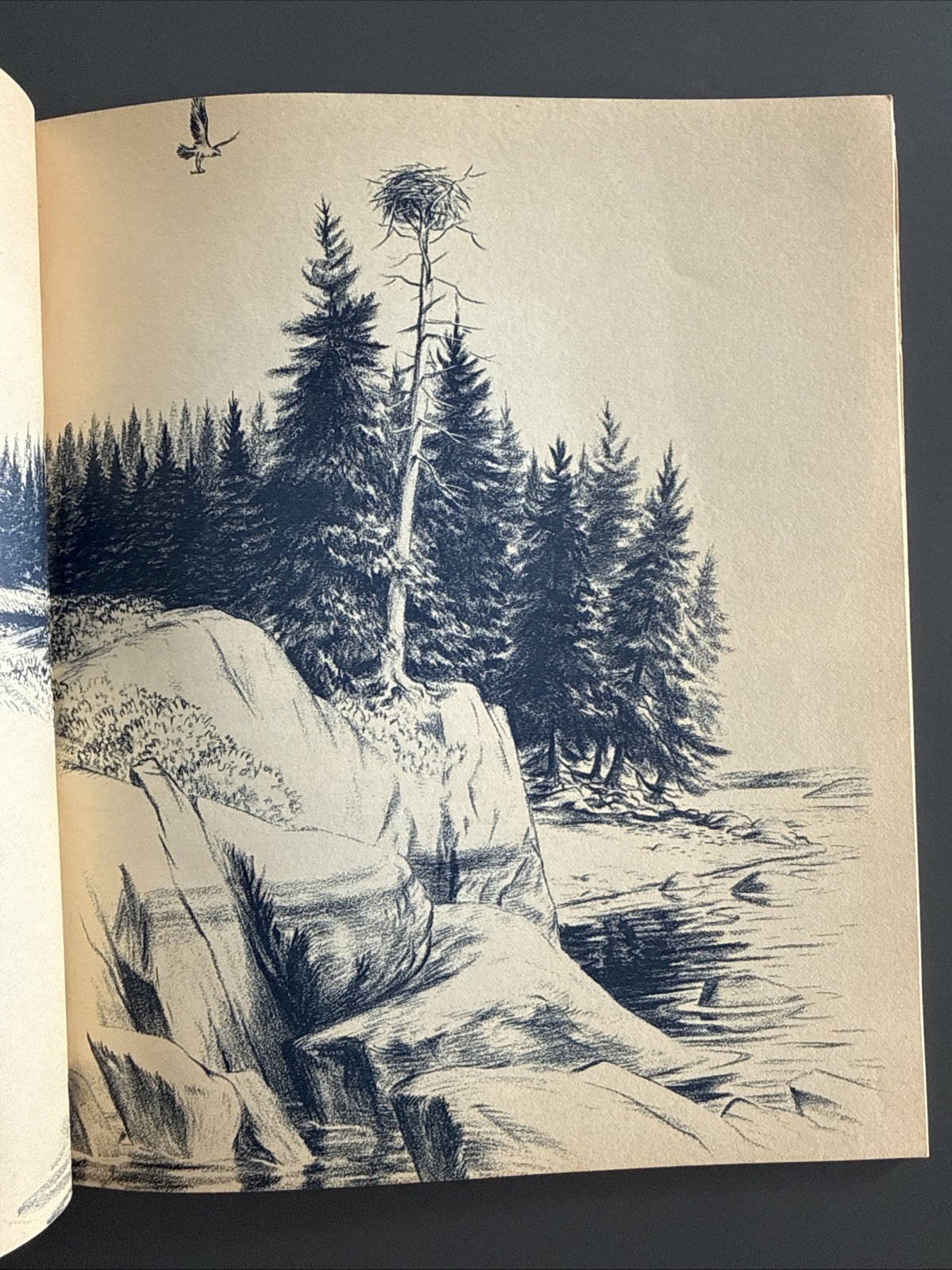 One Morning In Maine – Robert McCloskey