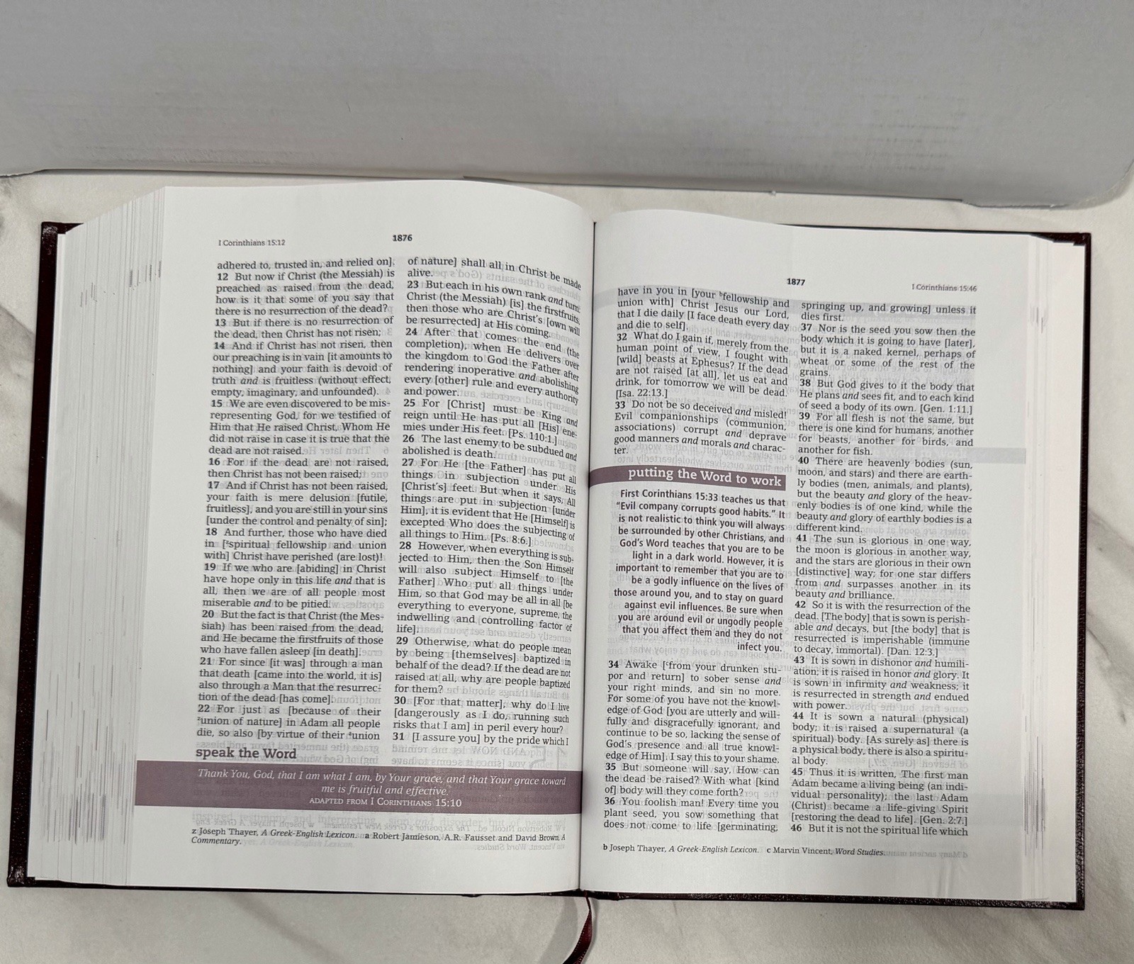 Joyce Meyer The Everyday Life Bible Amplified Version Leather Bound 2009