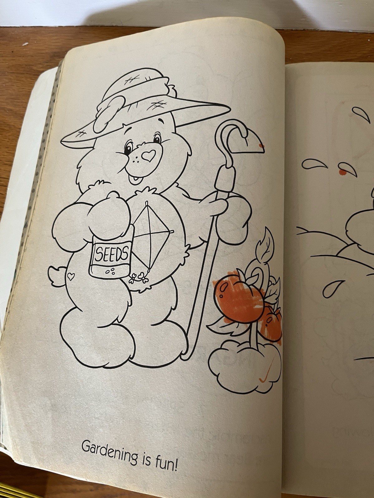 Care bear Giant coloring & activity book 2007 18 pages marked on