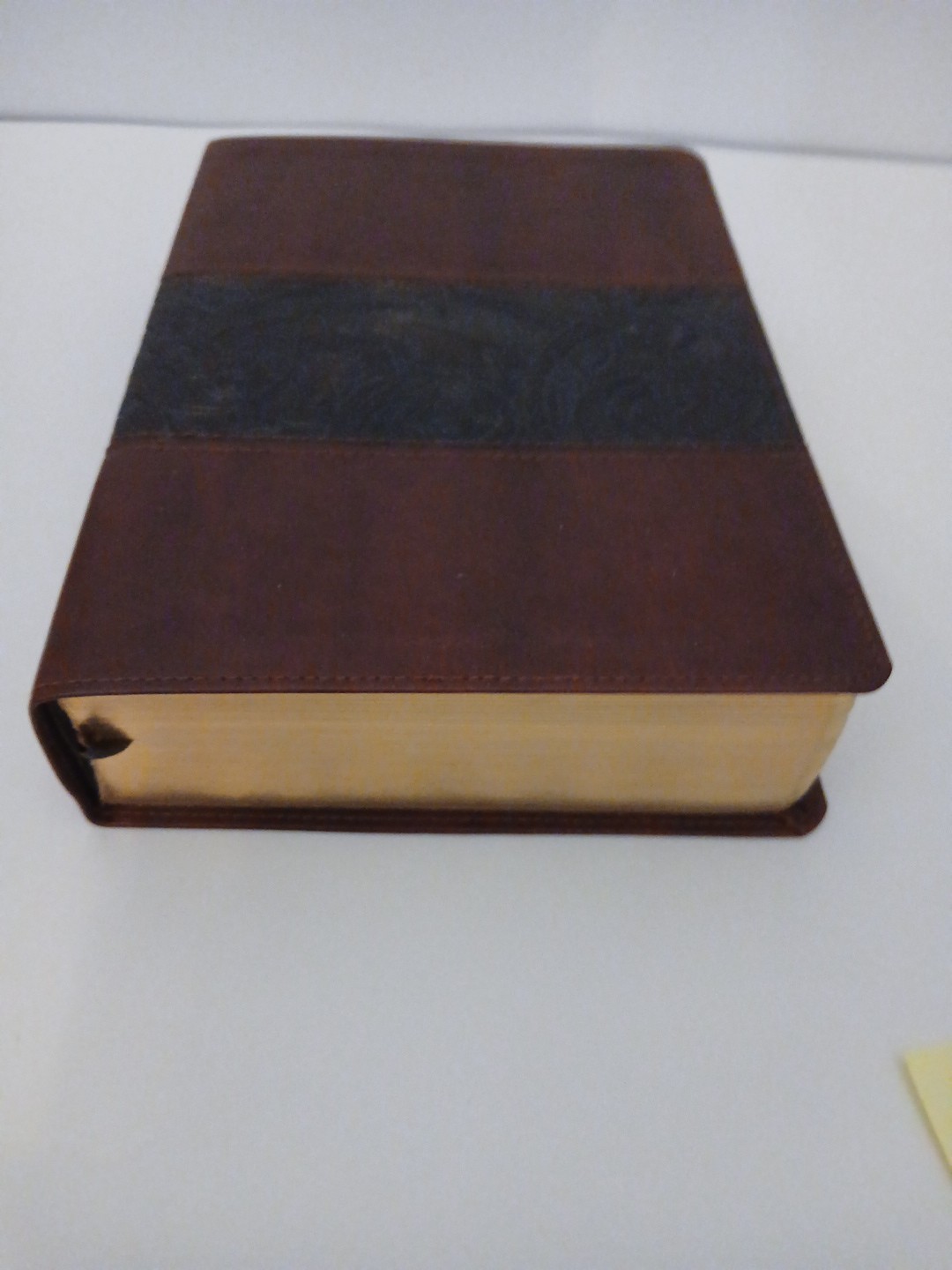 HCSB Study Bible Mahogany Simulated Duotone Leather Color Maps Holman Christian