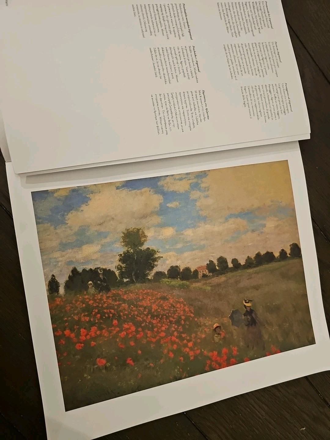 Monet Taschen Portfolio – 14 Prints Ready To Frame