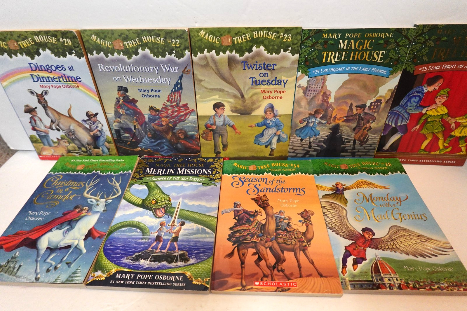 Magic Tree House book collection (kid’s paperback book series)