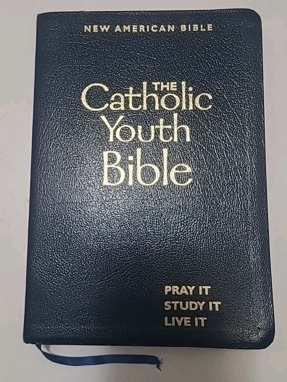 Catholic Youth Bible! In Great Shape