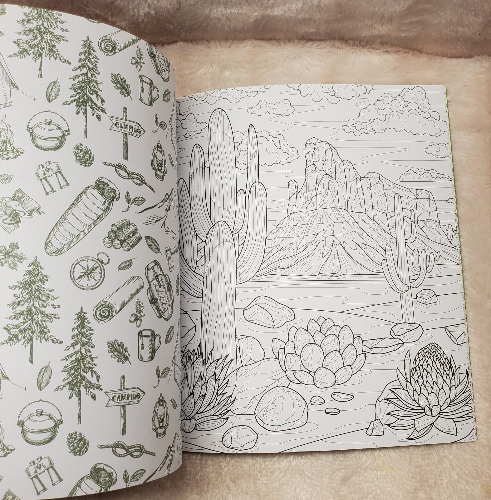 Mountains and Wilderness Coloring Book : Color Incredible Outdoor Scenes: New