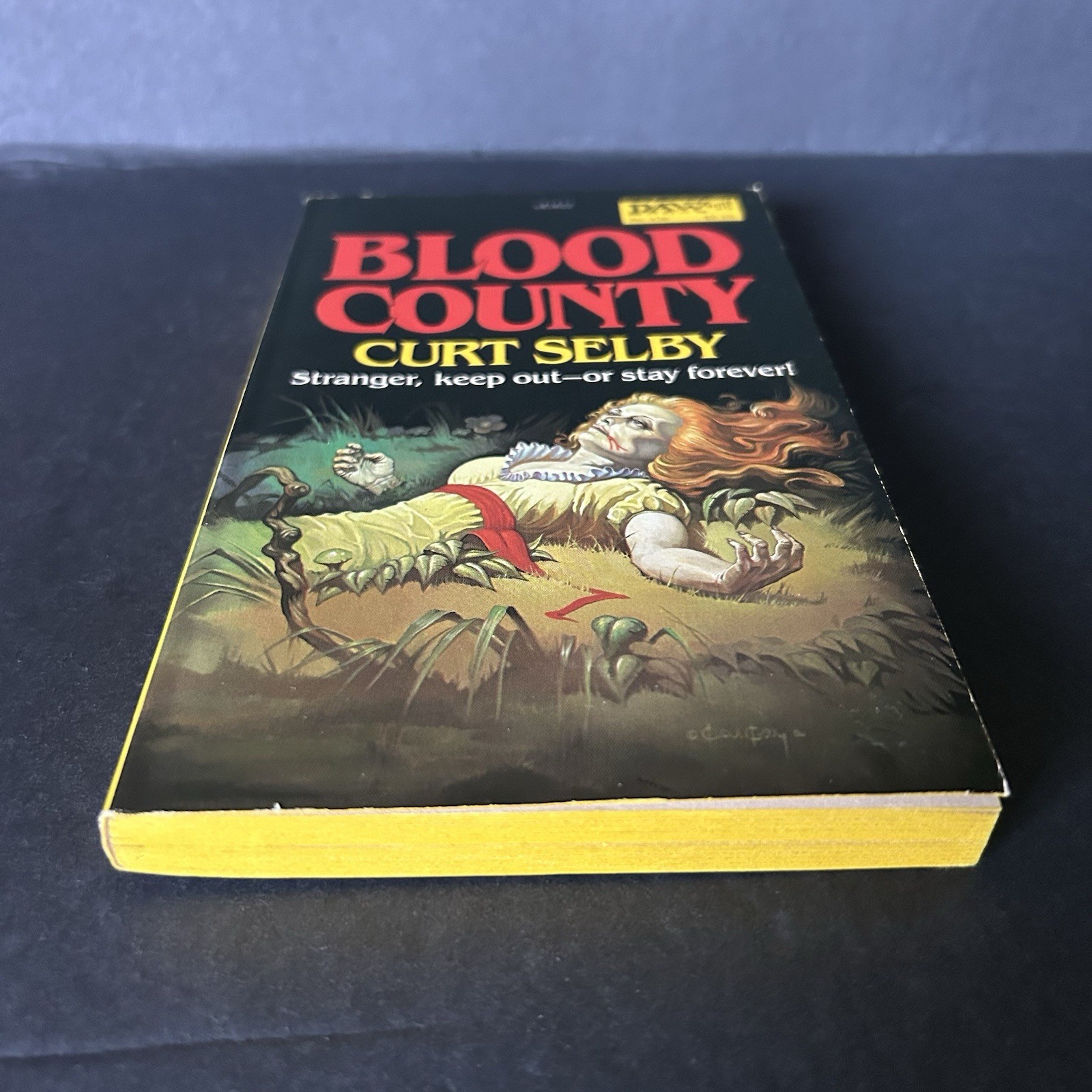 Blood County by Curt Selby (Doris Piserchia) 1981 DAW Books #436 1st Printing PB
