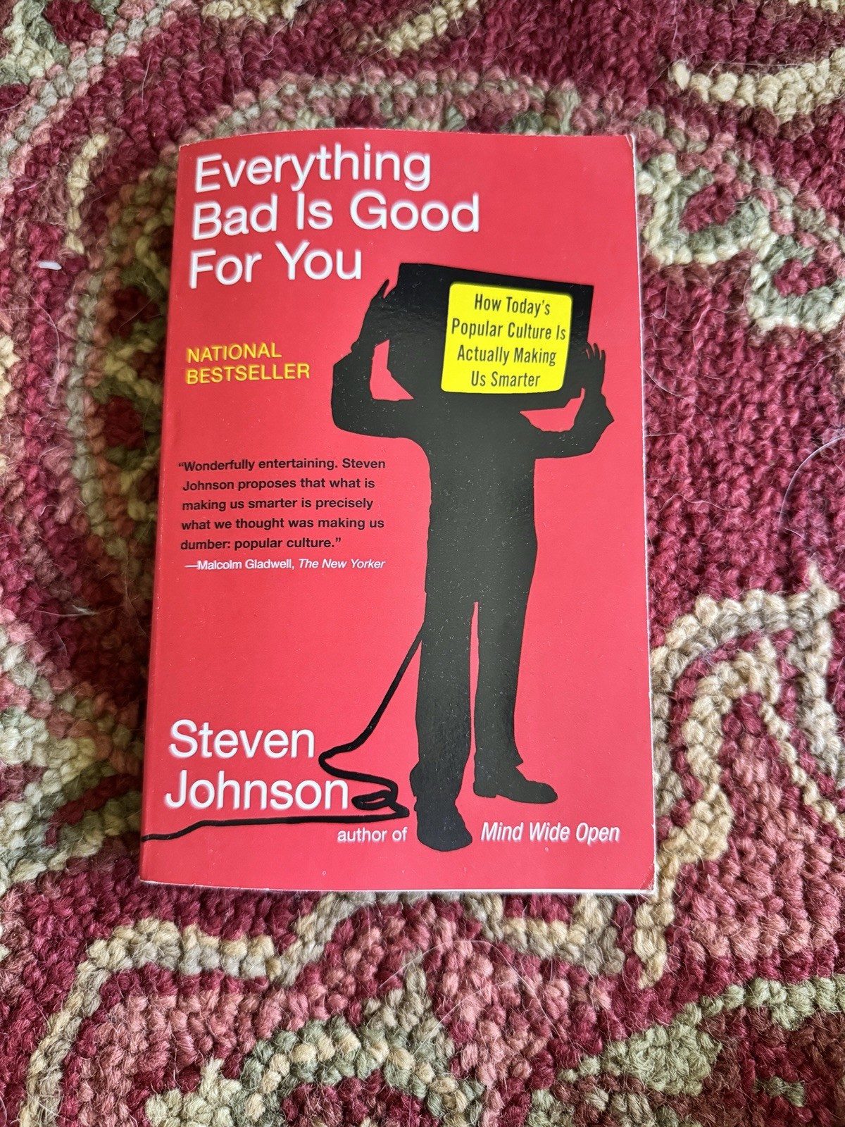 Everything Bad Is Good for You by Steven Johnson (2006, Library Binding)