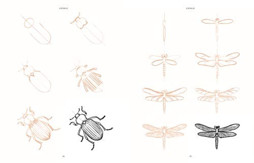 Draw 200 Animals: The Step-by-Step Way to Draw Horses, Cats, Dogs, Birds, Fish,