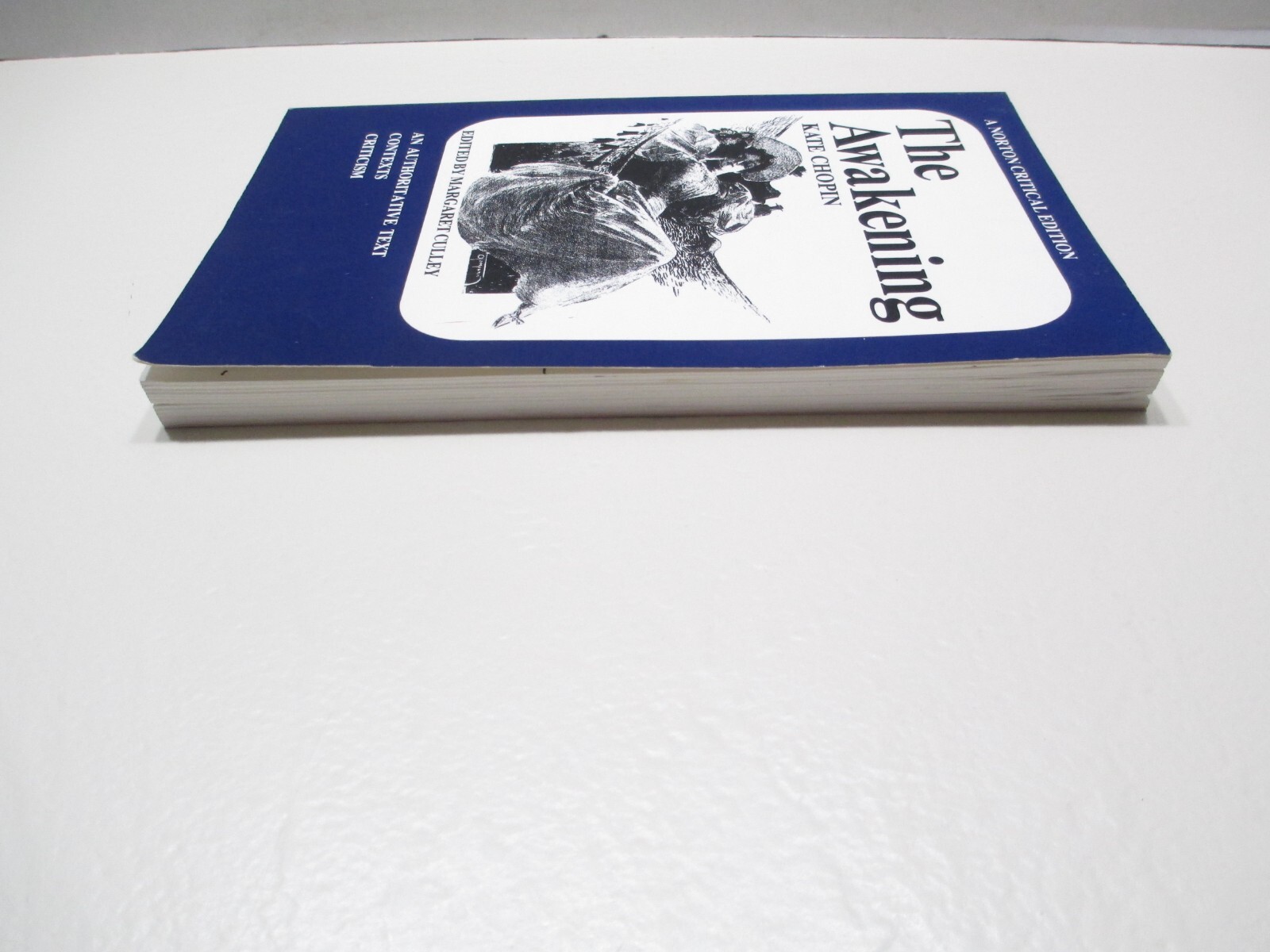 The Awakening – Kate Chopin – PB Norton Critical Edition *READ DESCRIPTION*